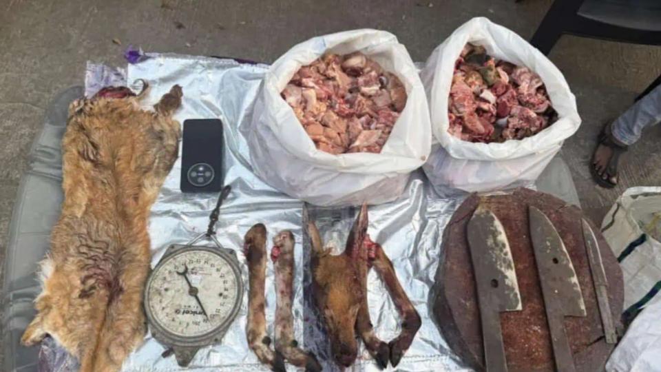 Deer meat racket busted in Suleman Nagar of Attapur, one held
