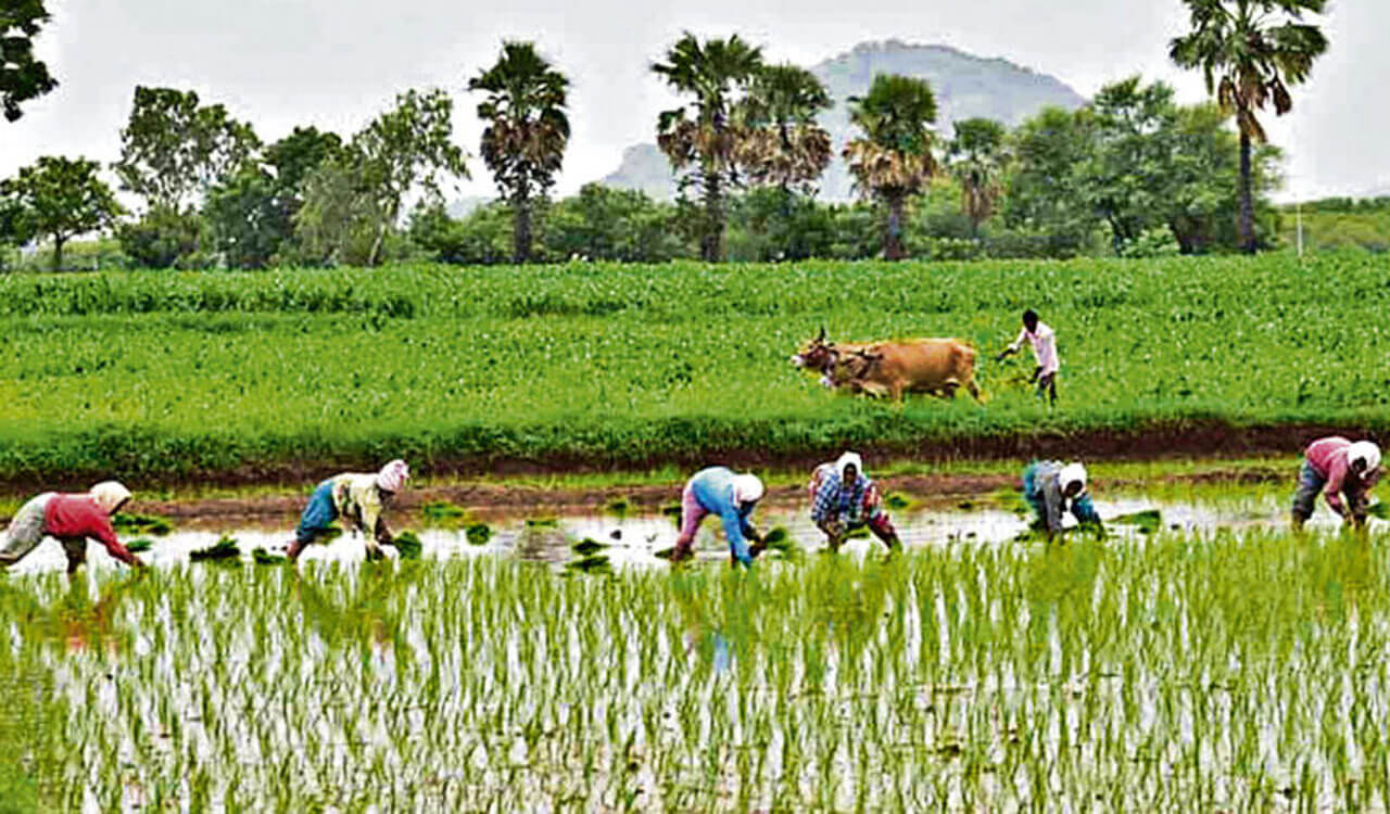 Telangana farmers anxious as Congress govt fails to pay premium under Rythu Bima