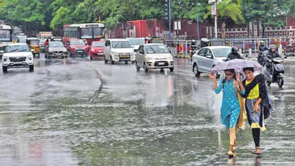 IMD Forecast