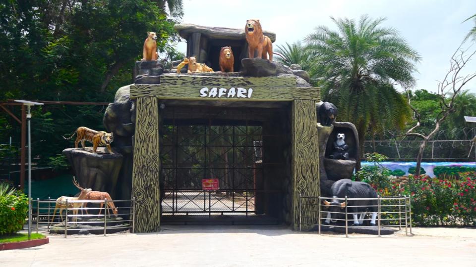 Nehru Zoological Park in Hyderabad to launch night safari