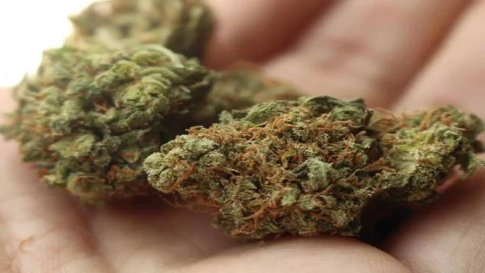 hyderabadpolicearrest2drugpeddlersseizes3kgganja