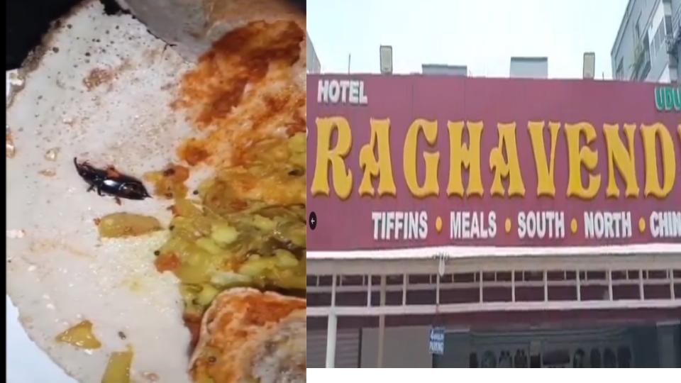 insectfoundinmasaladosaservedatrestaurantinhyderabad