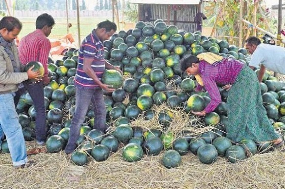 watermelonsorangesfloodedwholesalemarketsinhyderabadassummernears