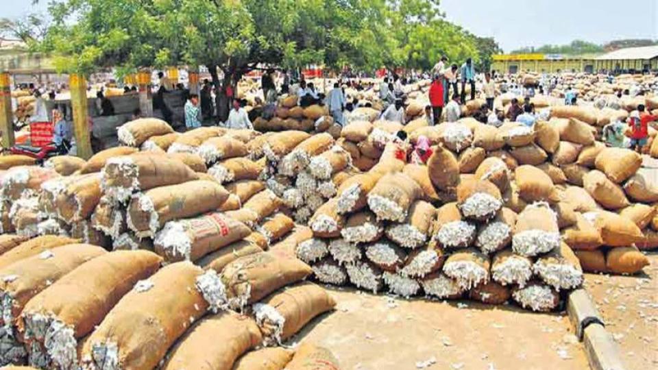 Rs. 3000 crore scam in cotton purchases in Telangana, BRS seeks probe