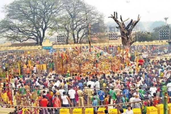 telanganagearsupformedaramjatara