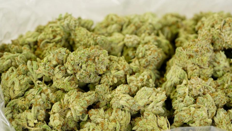 Task Force arrested Youth for transporting OG Kush near Suchitra