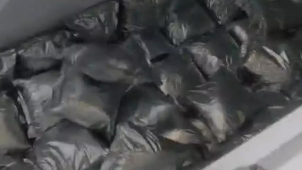 Biryani Packets Preserved in Fridge Seized in Banjara Hills