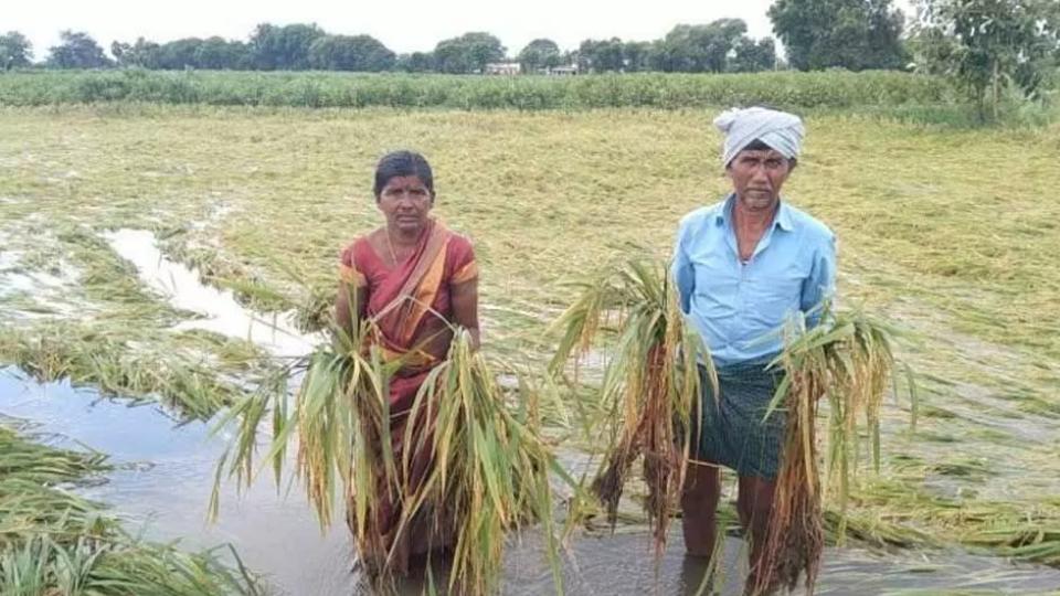 Farmers still await compensation a month after floods in Kamareddy