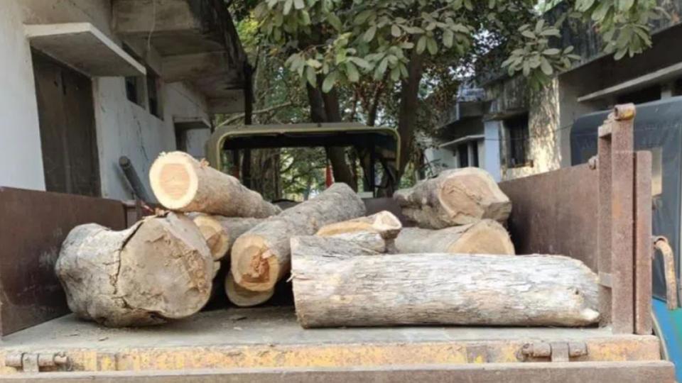 Forest officer booked for teak timber smuggling in Kumram Bheem Asifabad