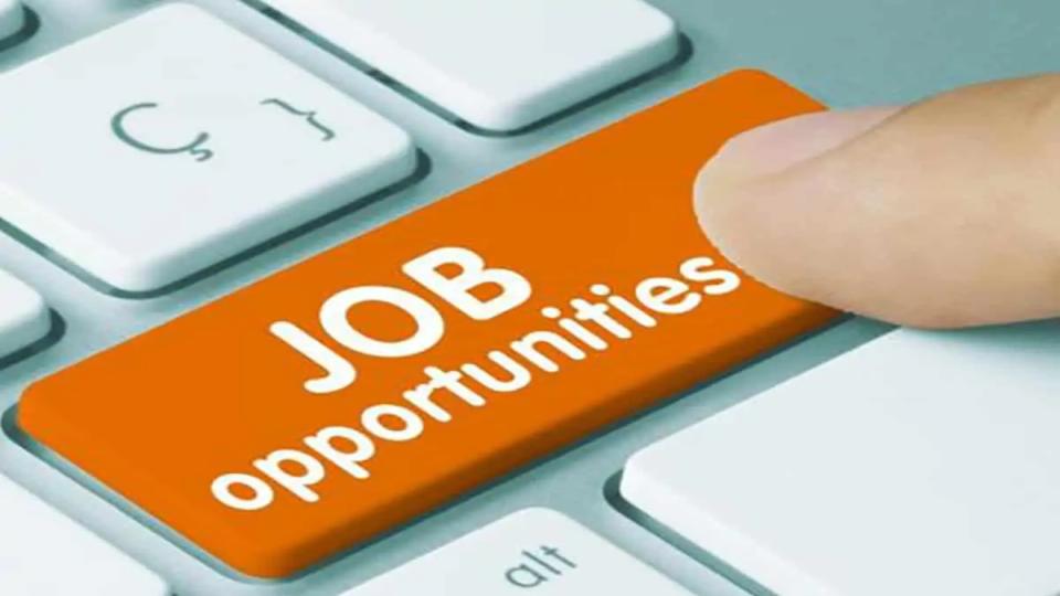 hundredsofofferlettersissuedatjobfairinhyderabad