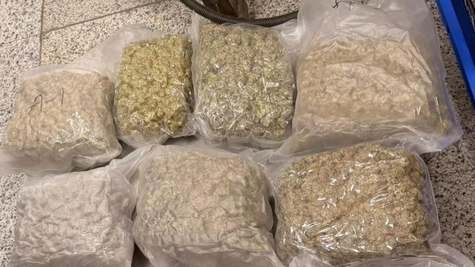 DRI Seizes 27.5 kgs of Ganja worth Rs 9.5 Cr at Shamshabad Airport
