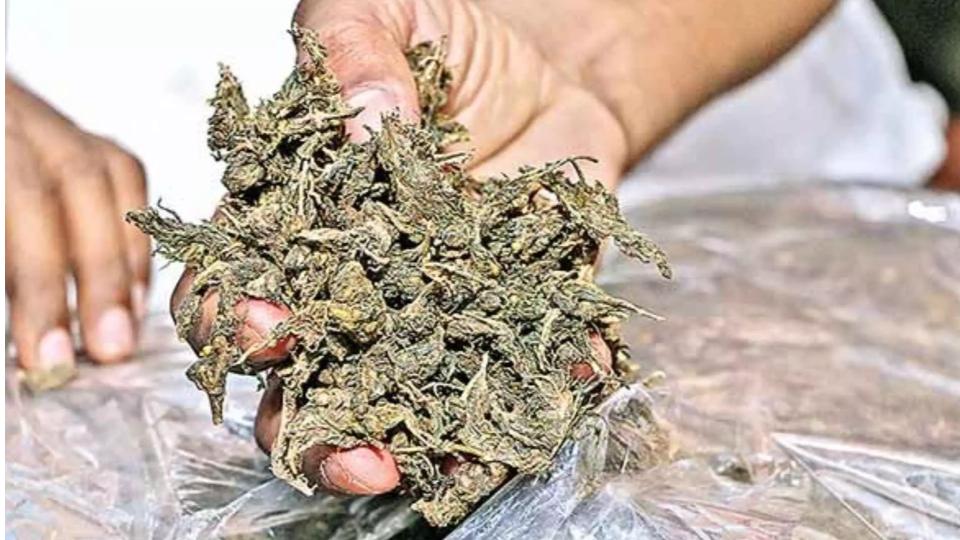 Task Force seizes ganja worth Rs 1.9 lakh from cab driver in Hyderabad