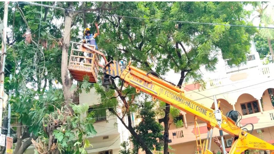 TGSPDCL Introduces Advanced Tree Pruners for Safer Operations