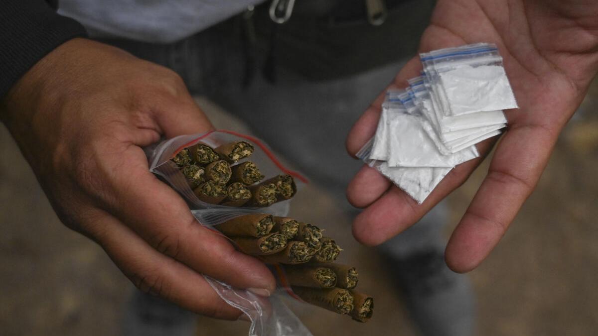 Two interstate drug peddlers held with 3.3 kg marijuana