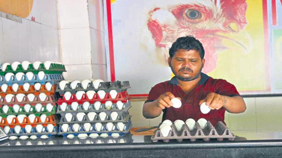 Egg prices in Hyderabad burn a hole in pocket