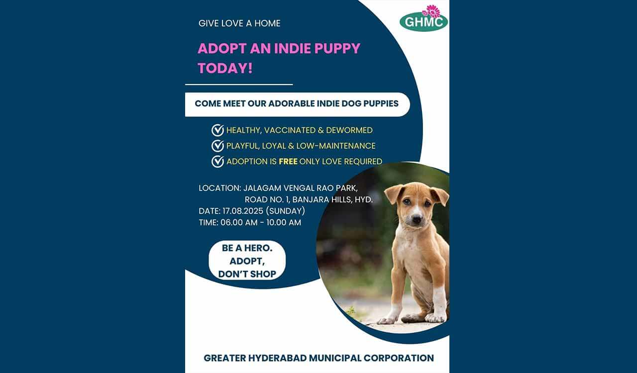 GHMC hosts second edition of Indie Puppy adoption drive at KBR park