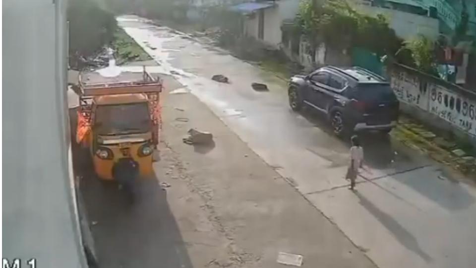 Video of Stray dogs attack minor girl in Hanamkonda