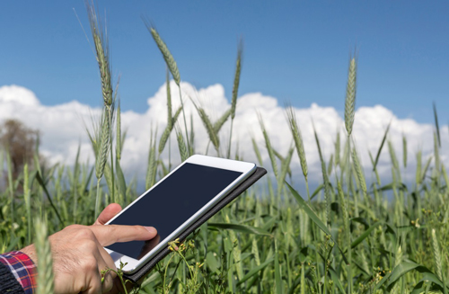 deeptechinnovationstosolveindiasagricultureissues