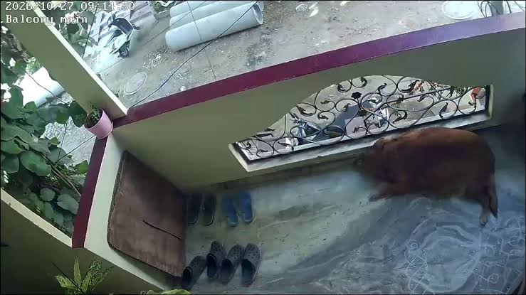 Loud noises, brief tremors reported in Rajendranagar localities