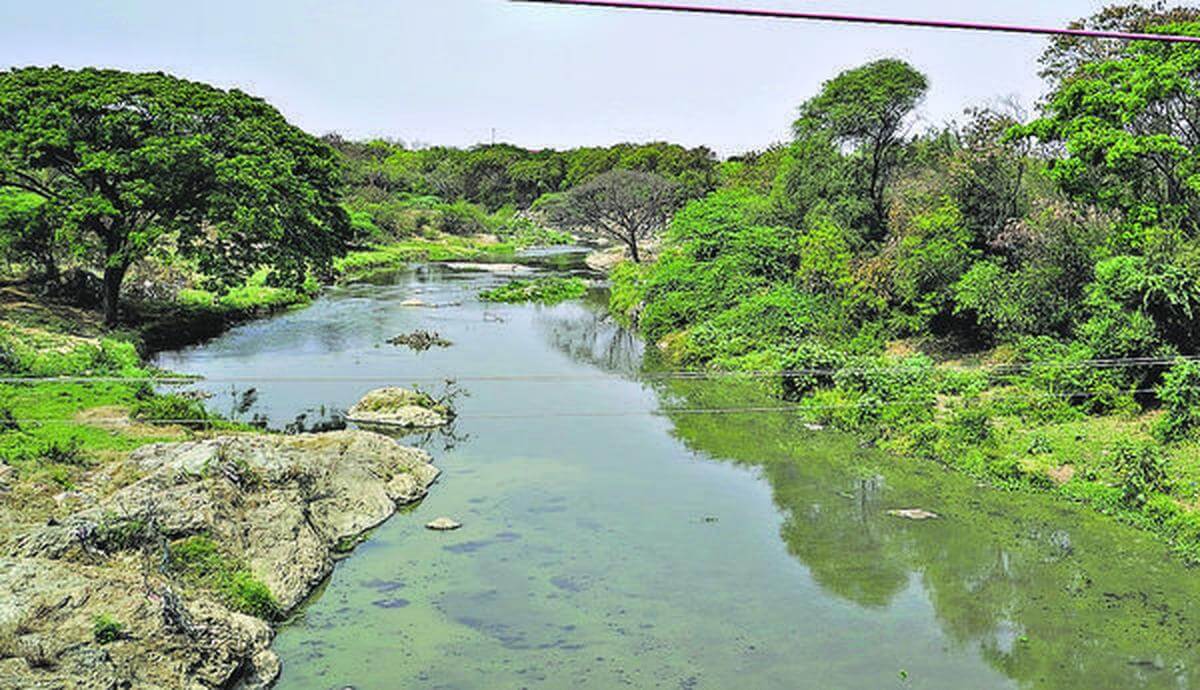 telangana-govt-to-seek-public-opinion-on-musi-river-rejuvenation-starting-march-31