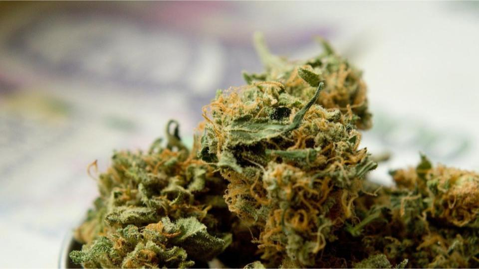 Three arrested with 25 kg ganja in Hyderabad