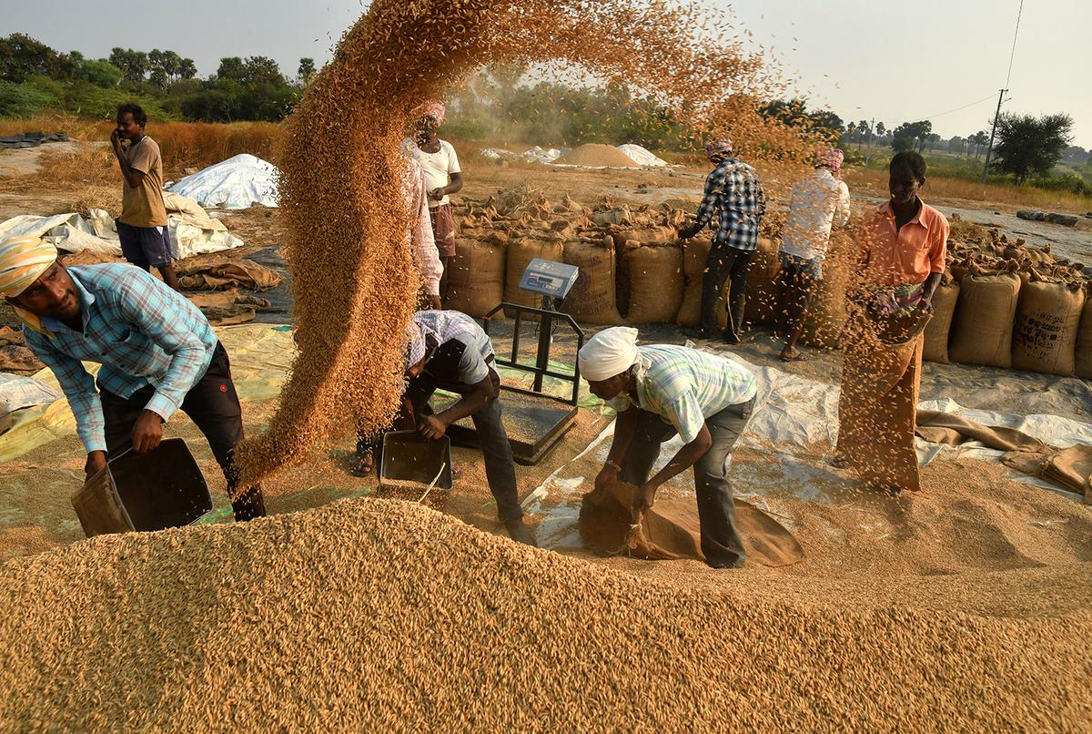 Civil Supplies to Open 7,149 Centres to Buy Paddy