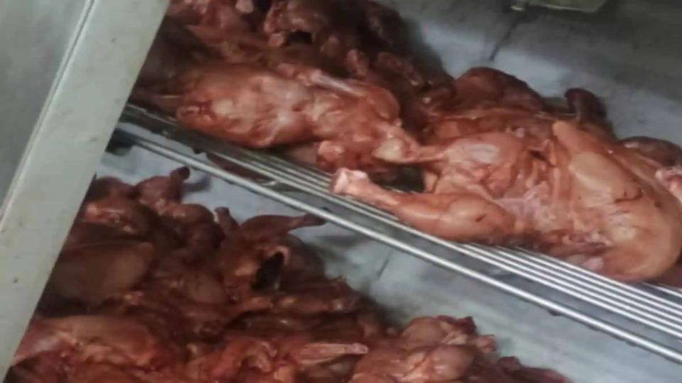 foodsafetydeptraidsrestaurantsinkacheguda