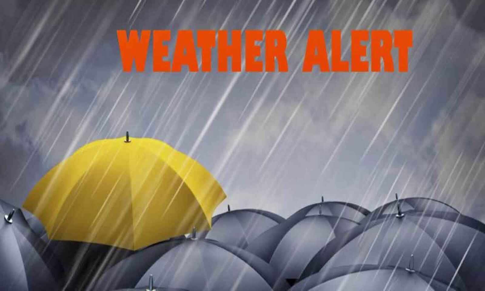 imdissuesyellowalertfortelanganastate