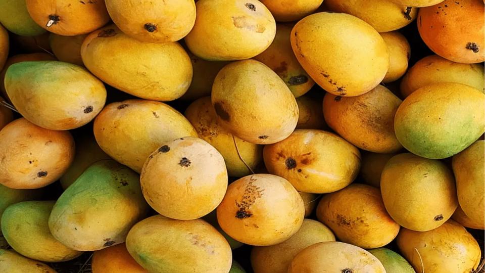 4800 kg mangoes seized, 2 held for artificial ripening in Hyderabad