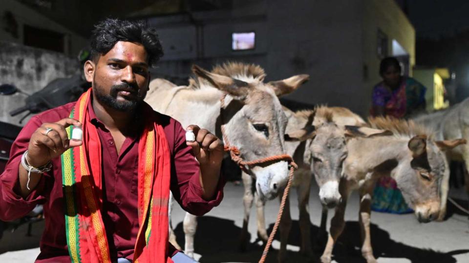 Donkey milk demand rises in Hyderabad city