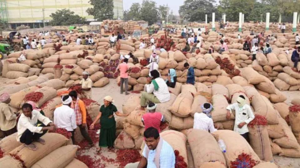 onelakhbagsofchilliarrivesatkhammammarketfarmersatthemercyoftraders