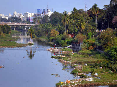 musicryingforattentiononenvironmentday