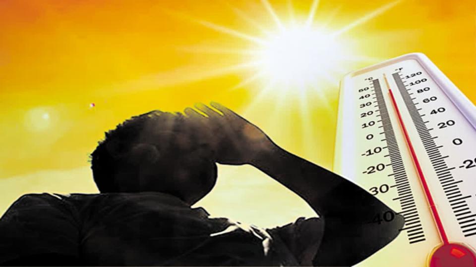 Telangana to Face Heatwave Conditions for Next Two Days, Yellow Alert Issued