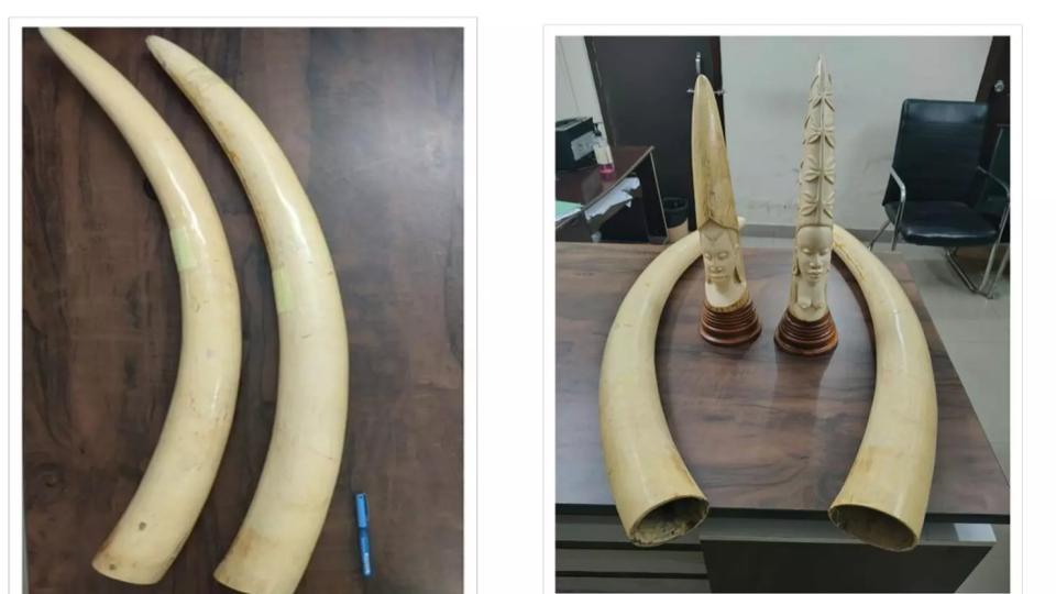 DRI Seizes 4 Elephant Tusks, Ivory Articles Weighing 17Kg, 3 Held