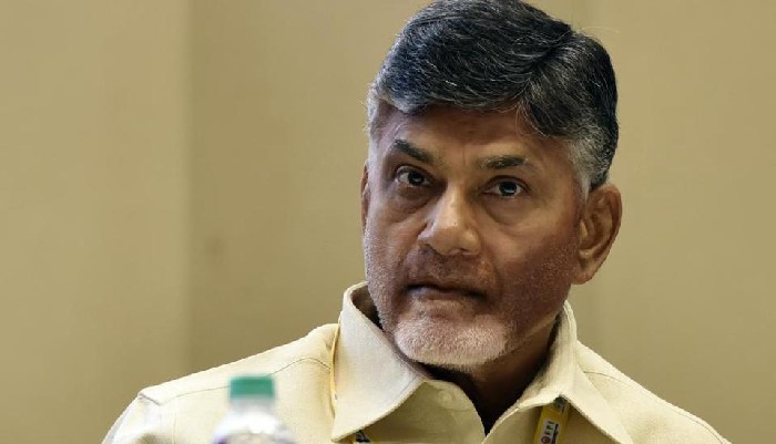 tdpwillplaykeyroleatcentrein2019:chandrababunaidu