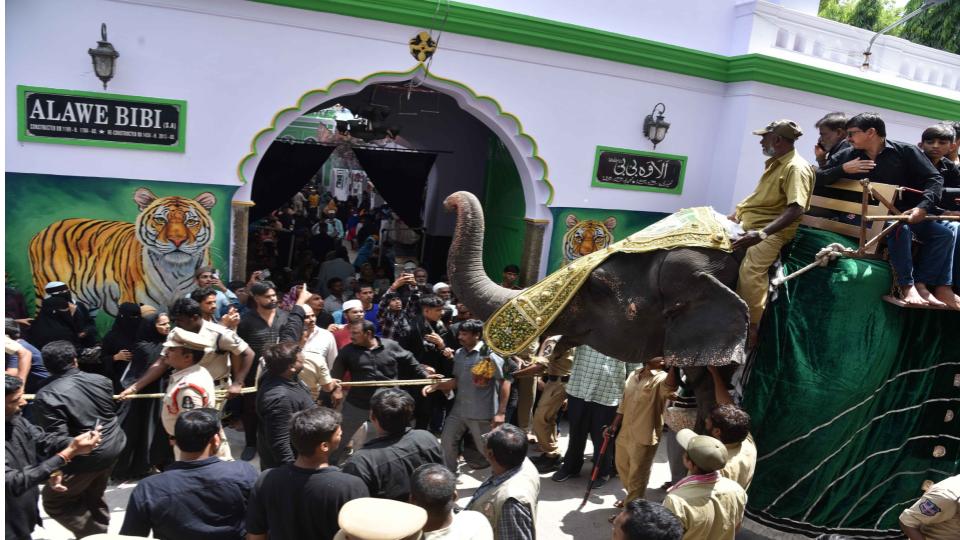 Elephant for Bibi Ka Alam Muharram procession arranged