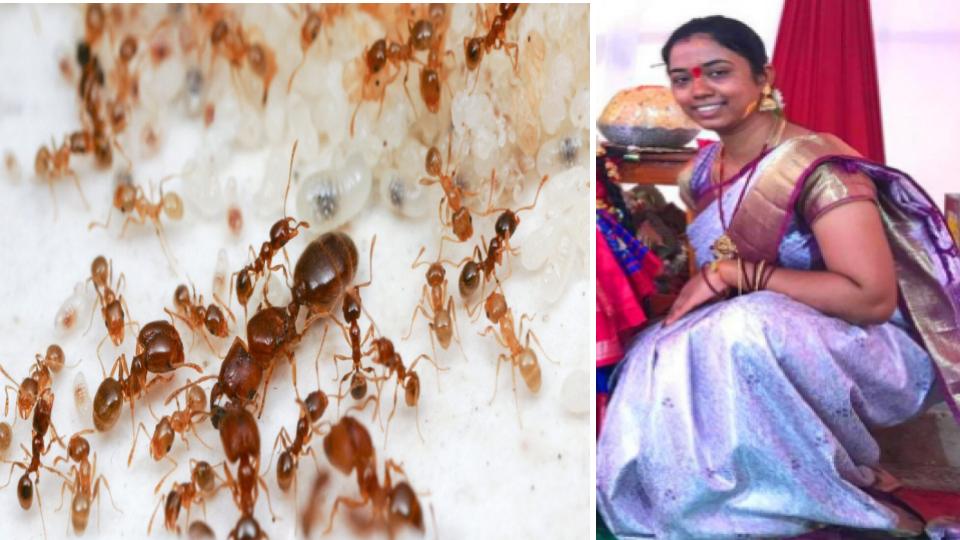 Women Ends Life in Ameenpur Over Fear Of Ants