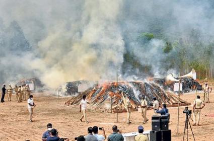 11tonnesofganjaburntintelangana’skothagudem