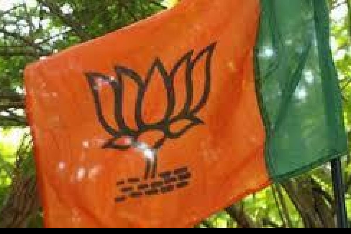 bjptoholdmillionmarchonnovember16