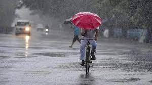 hyderabadislikelytoreceivelighttomoderaterainorthundershowersinnexttwodays