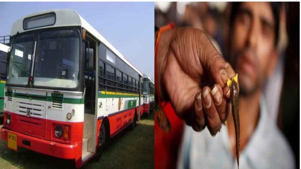 TGSRTC to run 140 buses for fish prasadam event in Hyderabad
