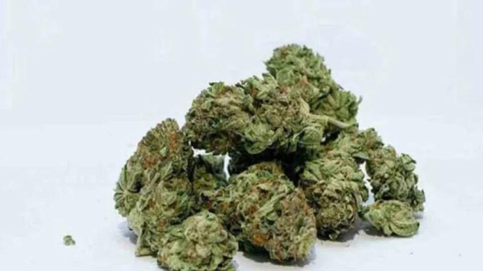 banjarahillsresidentcaughtsmugglingganja9kgofcontrabandseized