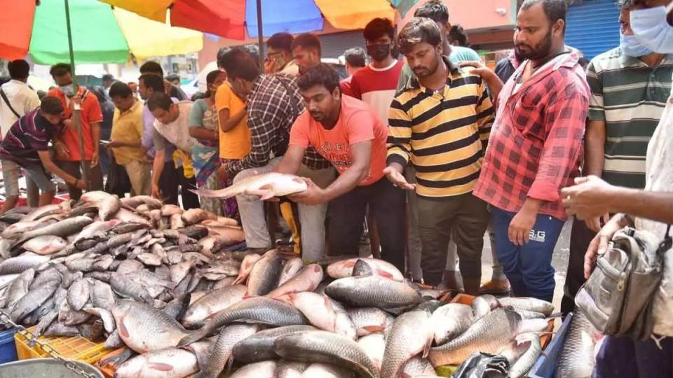 birdfluscareleadstoriseinfishconsumptioninhyderabad