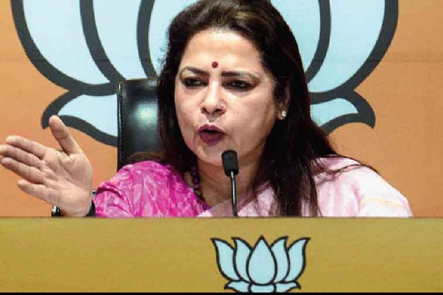 thegovernmentisincapableofproperplanningandimplementation:meenakshilekhi