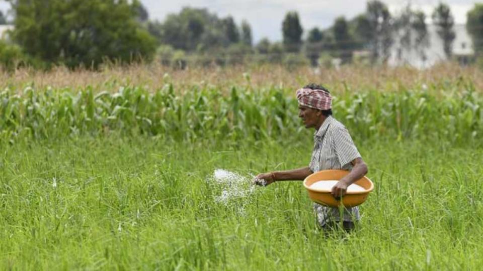 Telangana Govt To Launch Mobile App For Farmers To Buy Urea