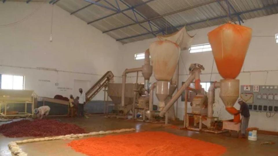 Food safety dept raids spice manufacturing units in Hyderabad