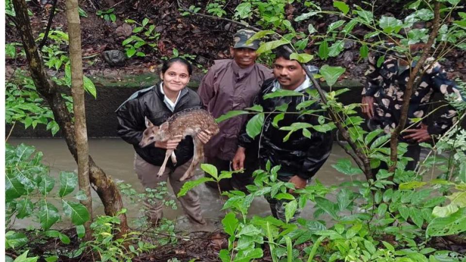 fawnfallsincanalrescuedinmancherial