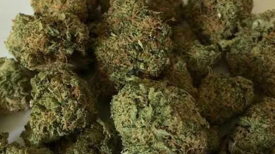 Man held for carrying ganja at RGI airport