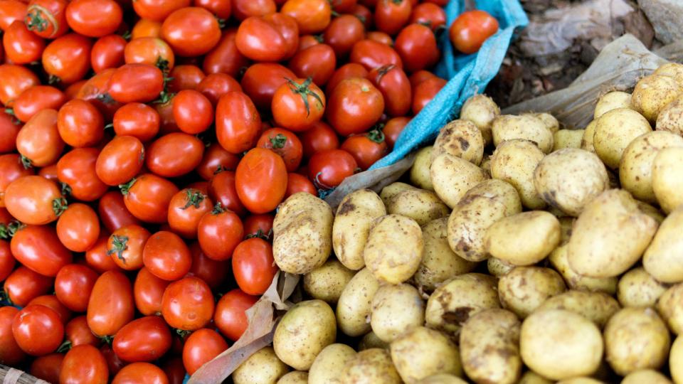 Price crash leaves potato, tomato farmers in deep losses in Sangareddy