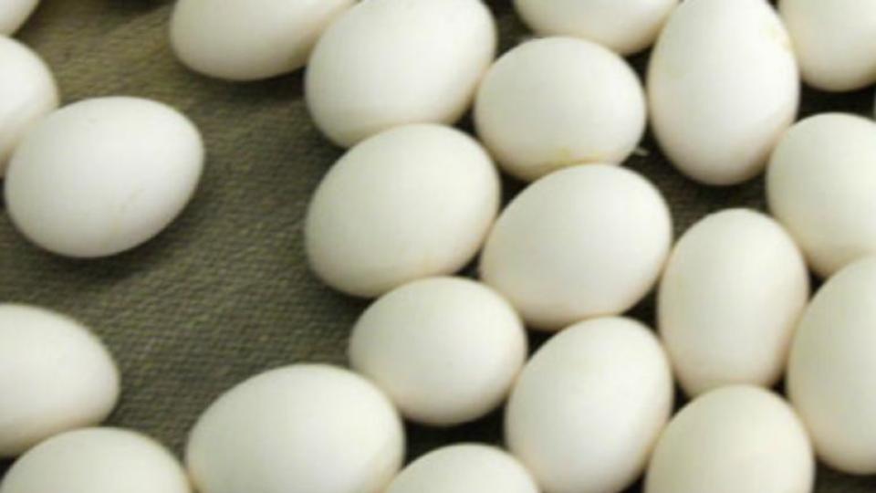 Telangana schools to cut mid-day meal egg supply over rising price